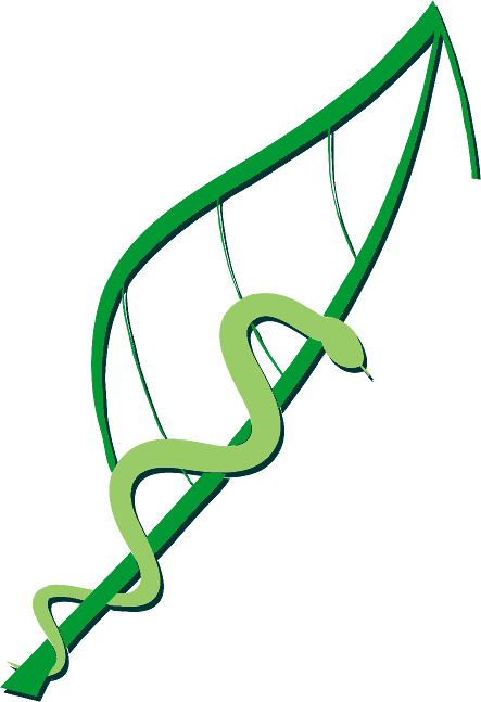 Logo Naturheilpraxis Lucke